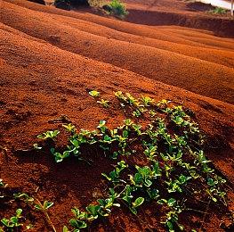 魂系之父50岁了！TGA为宫崎英高送上生日祝福