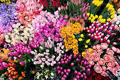 像素风横板动作游戏《Vagante 》将于1月27日登录主机平台