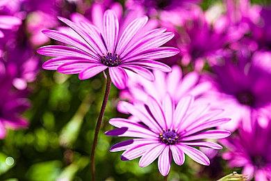 动作类合作肉鸽游戏《维勒姆》现已在Steam平台抢先体验推出